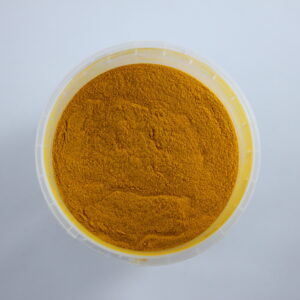 Curcuma Longa